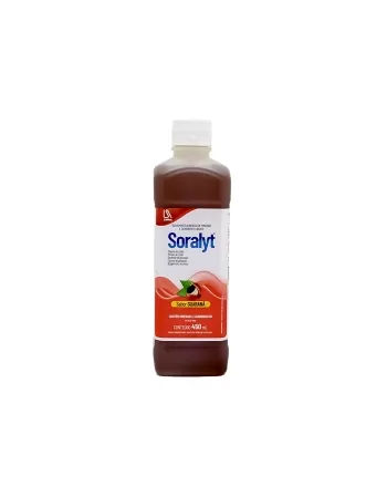 SORALYT SABOR GUARANA 450ML(24)